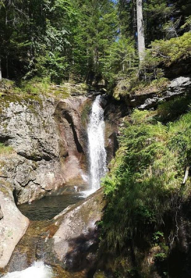 Ferienland Sonnenwald Fewo 46 Und Studio 50 In Schoefweg Bayerischer Wald Extérieur photo