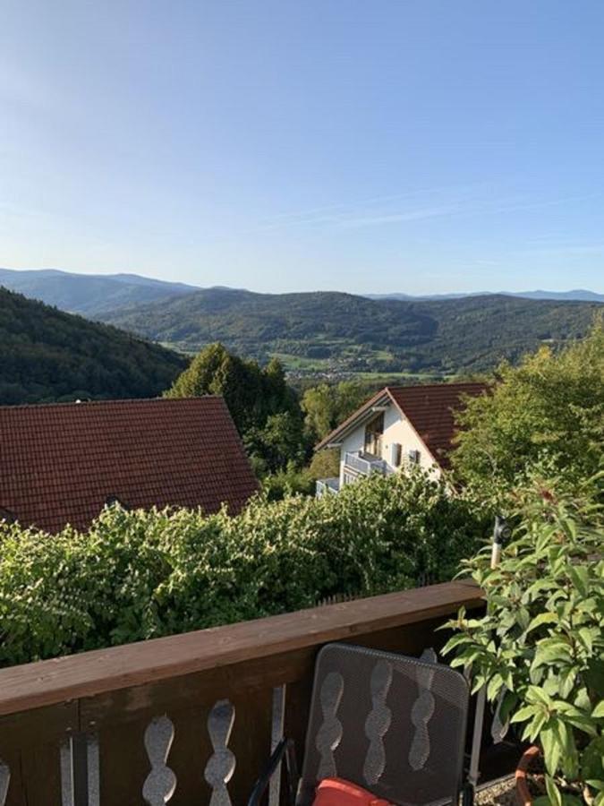 Ferienland Sonnenwald Fewo 46 Und Studio 50 In Schoefweg Bayerischer Wald Extérieur photo