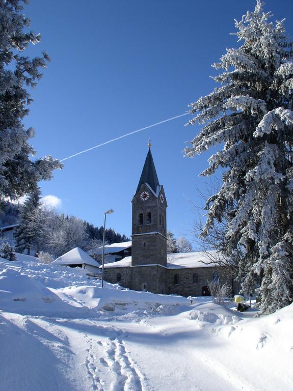 Ferienland Sonnenwald Fewo 46 Und Studio 50 In Schoefweg Bayerischer Wald Extérieur photo