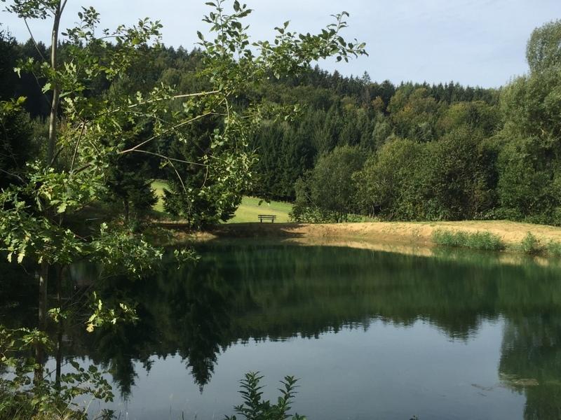 Ferienland Sonnenwald Fewo 46 Und Studio 50 In Schoefweg Bayerischer Wald Extérieur photo