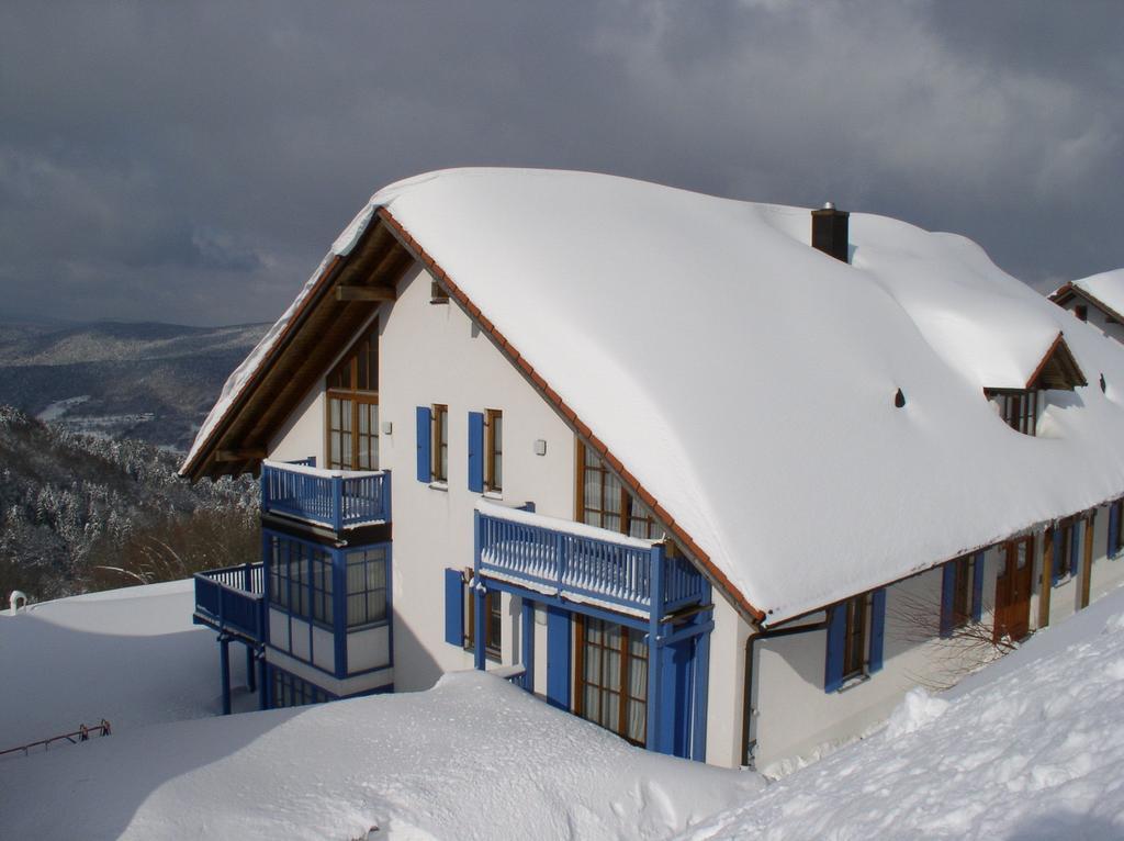 Ferienland Sonnenwald Fewo 46 Und Studio 50 In Schoefweg Bayerischer Wald Extérieur photo